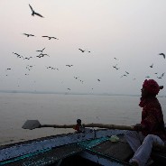 Onze bootsman op de Ganges roept de vogels