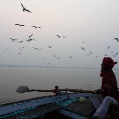 Onze bootsman op de Ganges roept de vogels