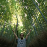 Arashiyama Bamboo Grove in Kyoto is een prachtige plek