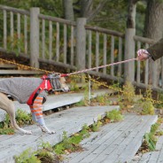 Ridicuul geklede hond wil niet het water in bij Lake Shikotsu