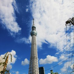 De Skytree toren in Tokio, het op één na hoogste gebouw ter wereld