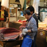 Blauwvintonijn op de Tsukiji vismarkt in Tokio