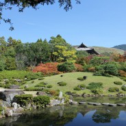 Typisch Japanse tuin in Nara